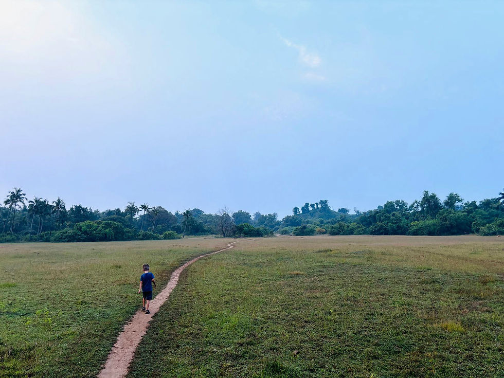 בדרך אל הים #001, גואה