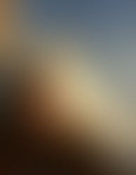 Memorial of St. Monica