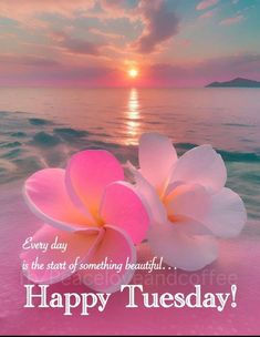 Good Tuesday Morning, PAPA!