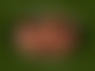 Tuesday, The Second Week in Ordinary Time