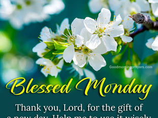 Good Monday Morning, PAPA!