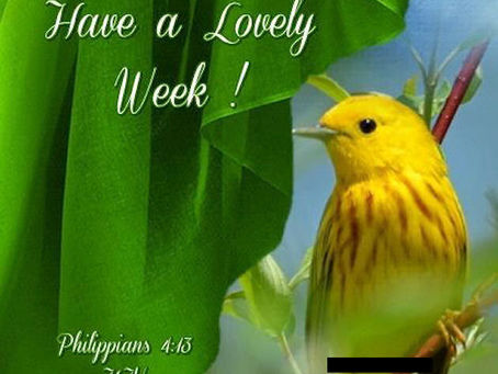 Good Monday Morning of the Seventh Week of Easter, PAPA!
