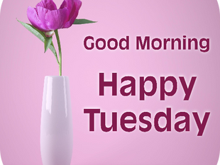 Good Tuesday Morning, PAPA!