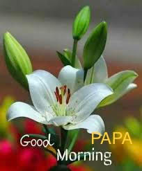 Good Sunday Morning and Happy Advent, PAPA!