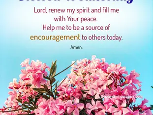 Good Wednesday Morning, PAPA!