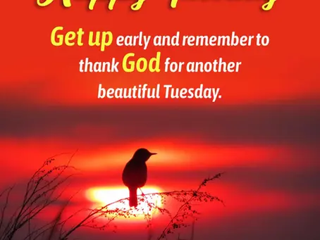 Good Tuesday Morning in the Third Week of Easter, PAPA!