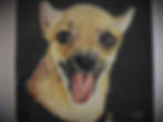 Thumbnail: Portrait Commission Deposit to Secure Booking