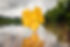 iStock-1345675304.jpg