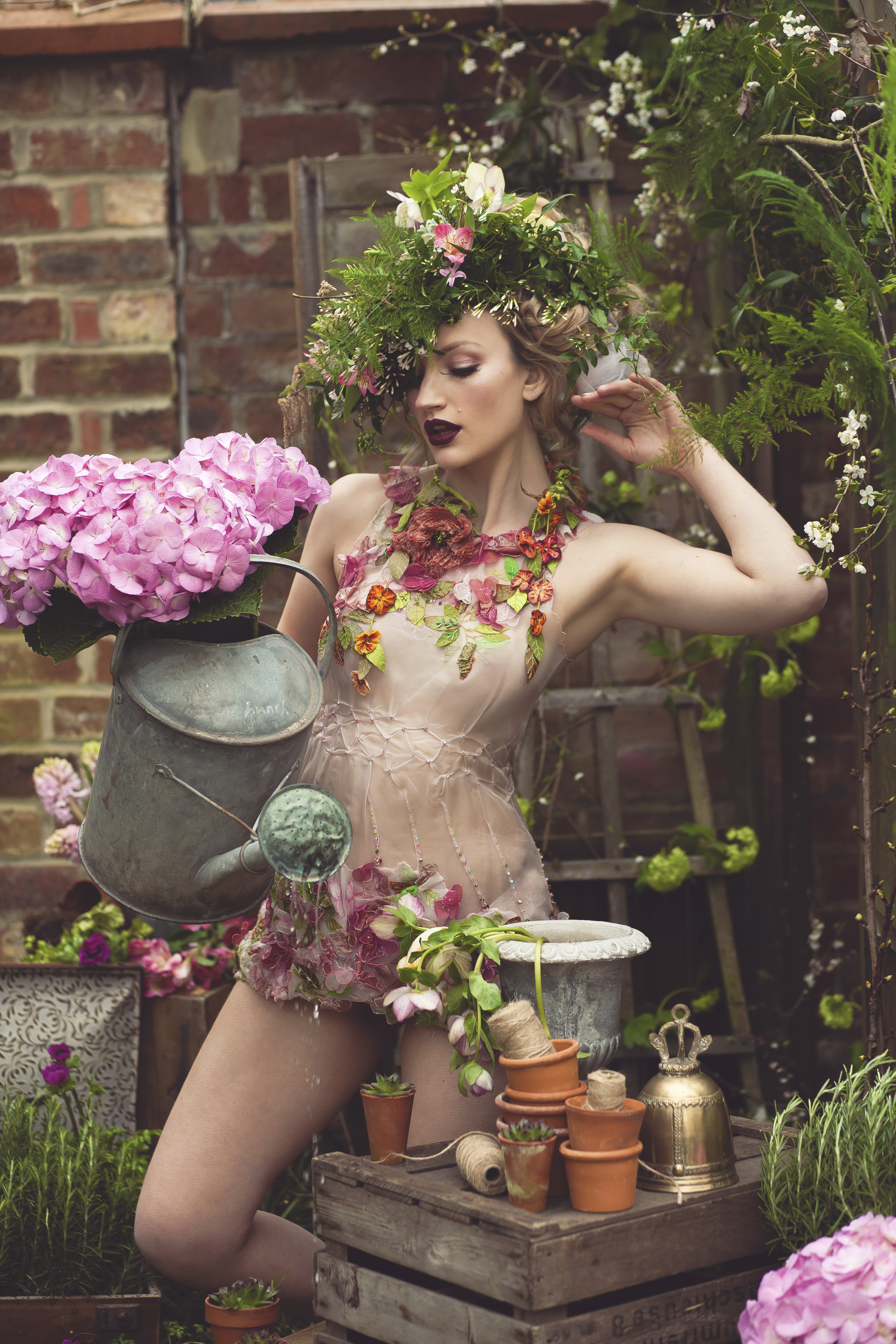 Tales From The Potting Shed