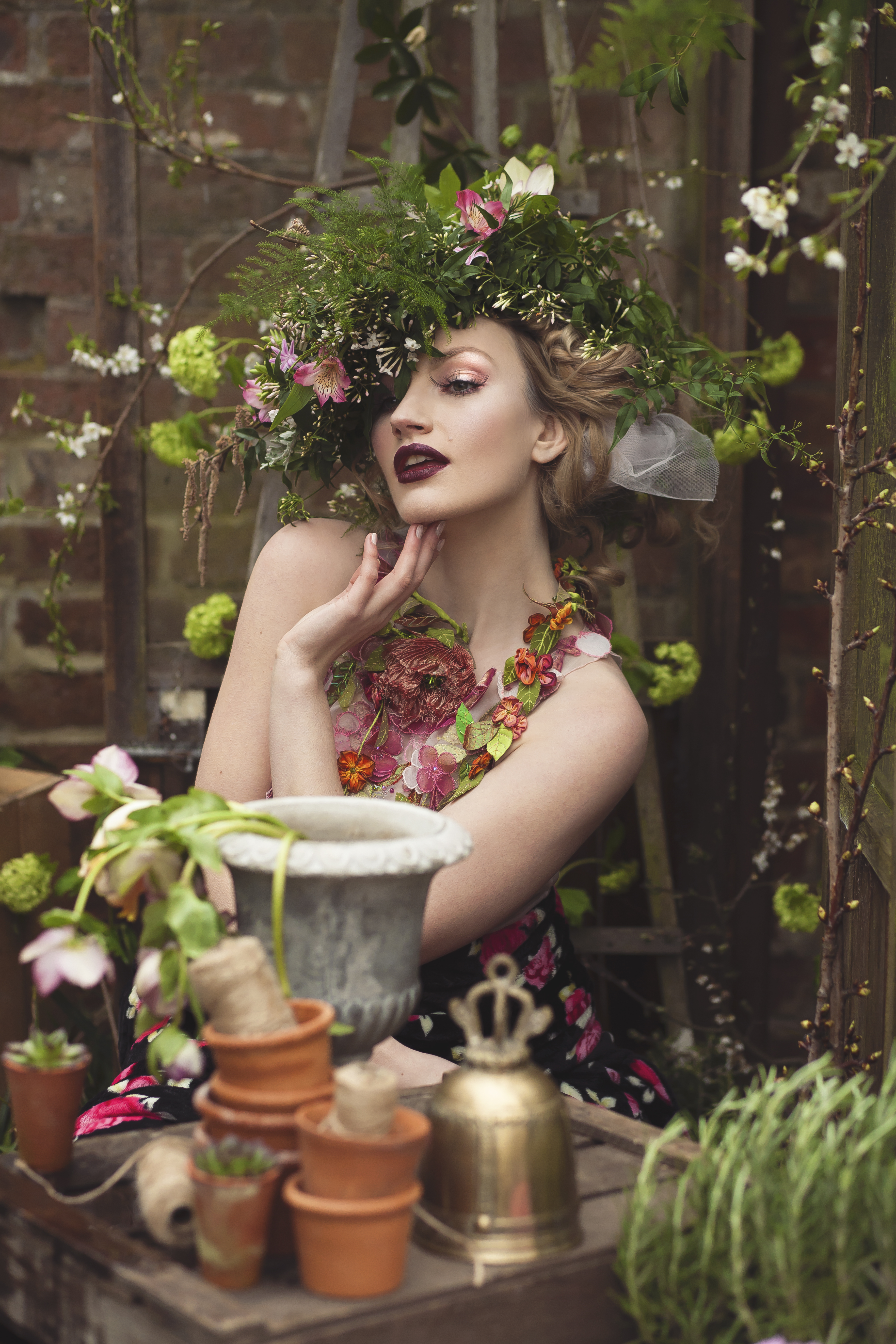 Tales From The Potting Shed