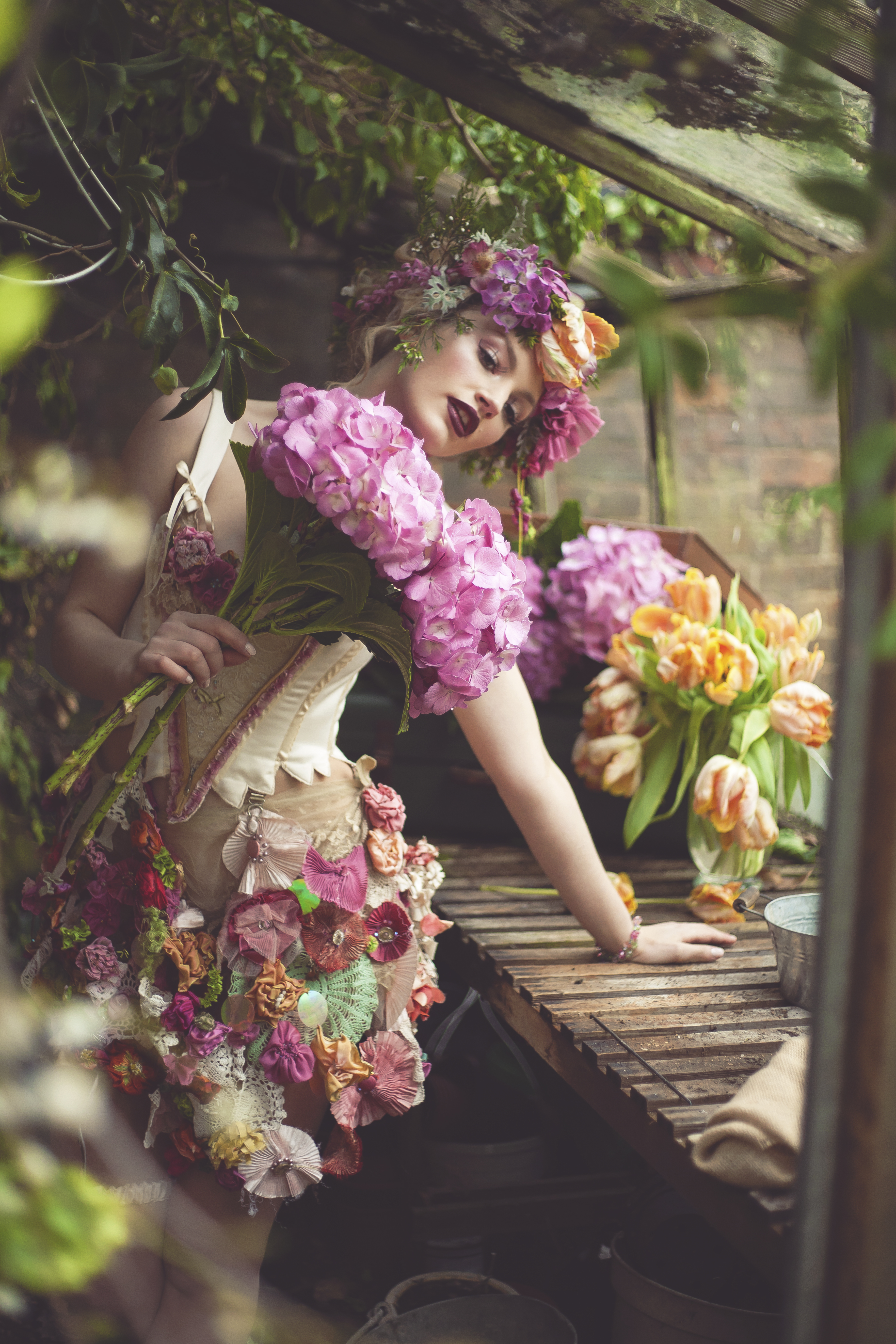 Tales From The Potting Shed