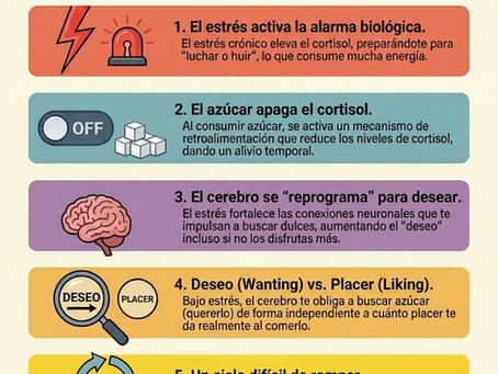 ¿Por qué el estrés te pide azúcar a gritos? (Y cómo responder)