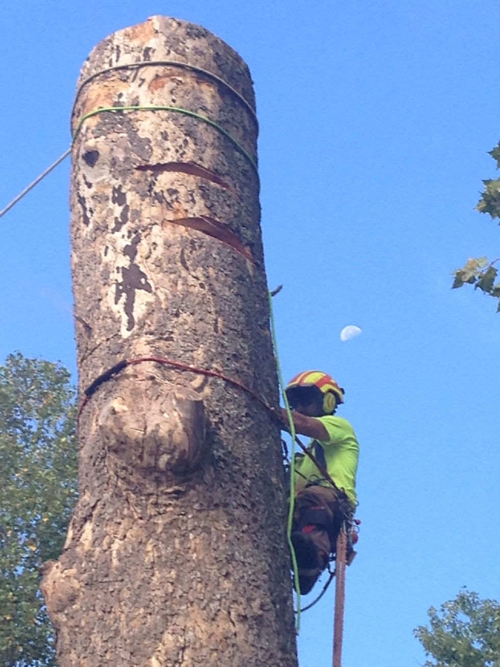 IMG_0323