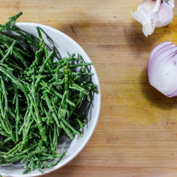 What halophytic crops is India H2O cultivating?