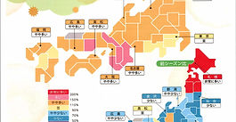 ブログ更新（花粉飛散傾向）いたしました。