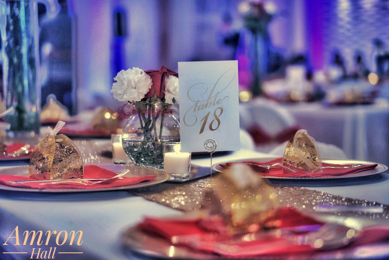 Amron Hall Event Space Rental Skokie, Chicago, Niles, Morton Grove