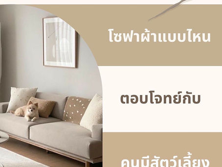 โซฟาผ้าแบบไหน? เหมาะสำหรับคนมีสัตว์เลี้ยง...