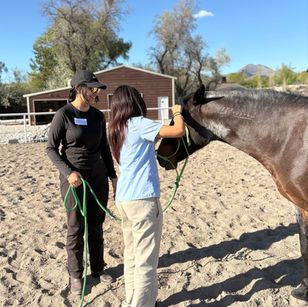Roots & Wings: Trailblazers