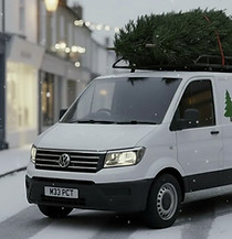Paul's Christmas Tree's Delivery