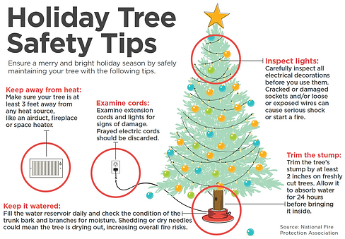 Paul's Christmas Trees - Tree Safety