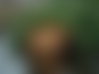 Your Real Tree Care Guide: Essential Care Tips for Your Real Christmas Tree