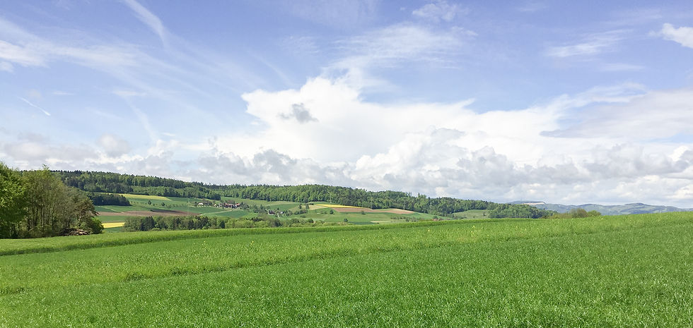 Surbtal2.jpg
