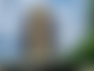 Banco Pleno: Banco Central decreta liquidação extrajudicial do banco e da Pleno DTVM