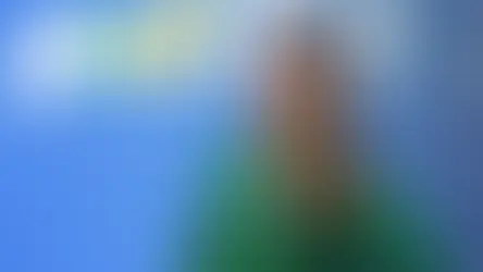 Elany Leão ganha força como possível vice na chapa de Arruda para o Governo do DF