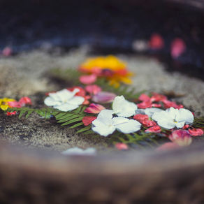 Saying NO takes courage.