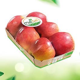 6 Apples Carton With Film