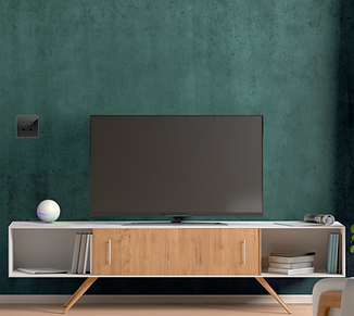 living room.png