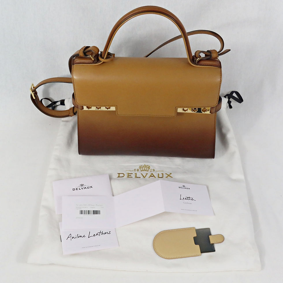 Thumbnail: Delvaux Tempête MM+ B Dream Phantom