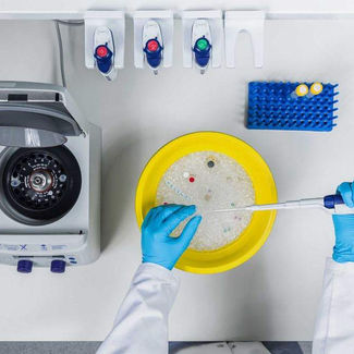 Memo’s COVID-19 therapeutic performs on par with leading competitors