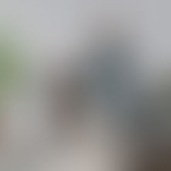 €15 million capital injection for felmo, the German pet health start-up