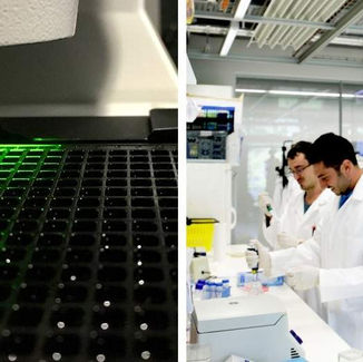 Redalpine invests in TOLREMO Therapeutics