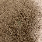 morgantown damaged carpet.jpg