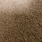 morgantown repaired carpet.jpg