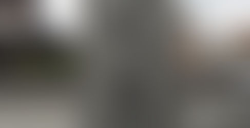 山川艸木悉有佛性