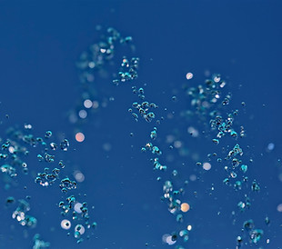 Water Drops