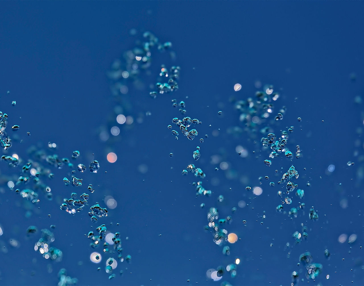 Water Drops