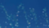Water Drops