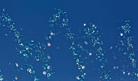 Gotas de agua