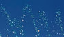 Water Drops