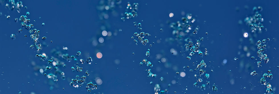 Water Drops