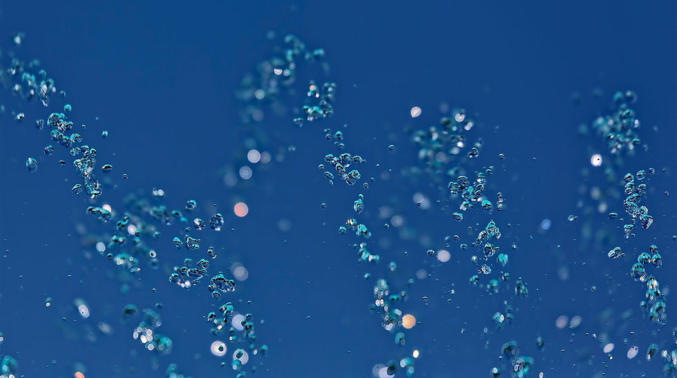 Water Drops