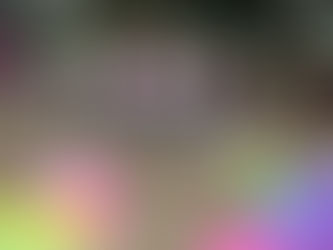 SSCカップU10