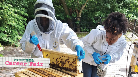 A Beginner's Guide to the Buzzing Field of Beekeeping