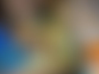 How We Prepared Our Pets for Bringing Home Our Only Baby