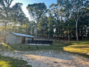 What My Baby, My Dog and My Horses Have Taught Me About Patience