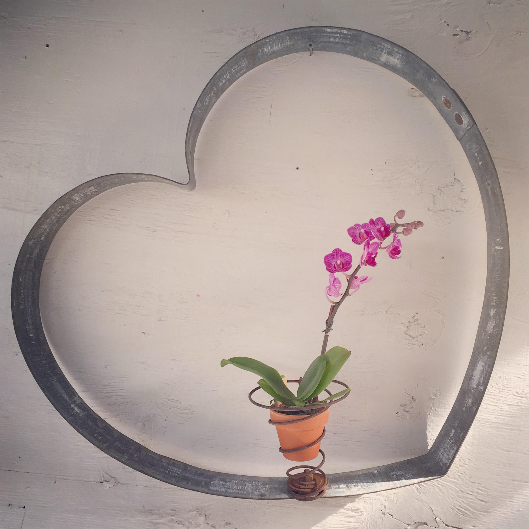 Heart with Spring